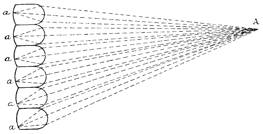 1543370207888692.jpg