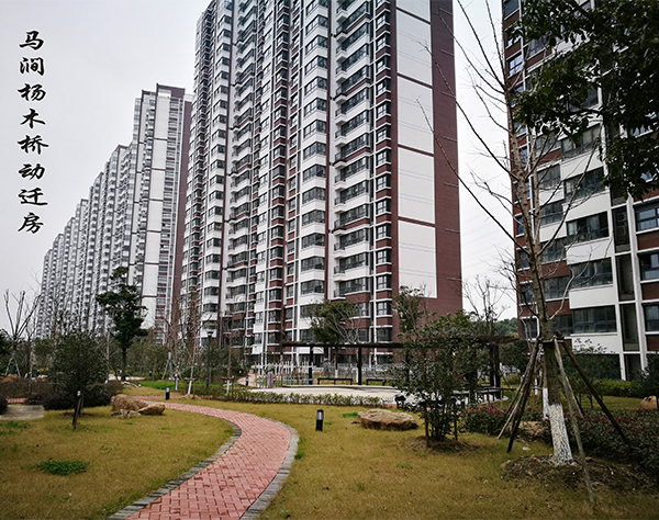 香港六宝合典资料大全