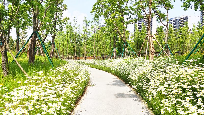 香港六宝合典资料大全