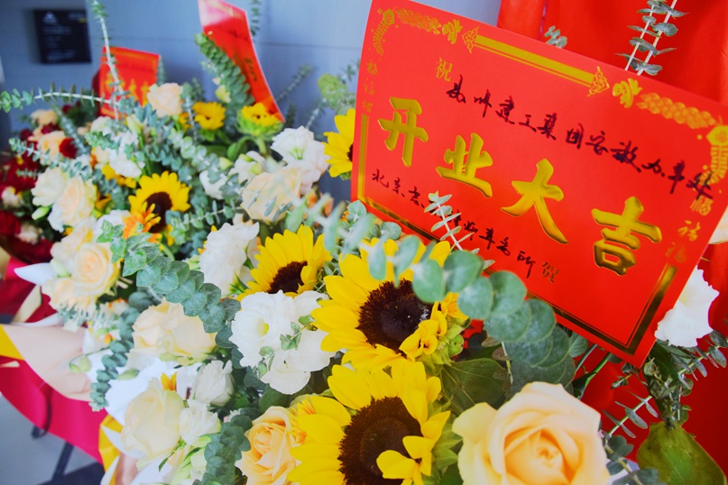 香港六宝合典资料大全