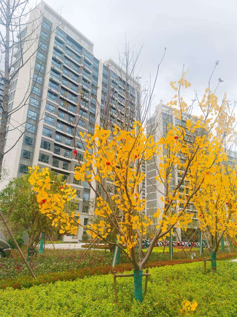 香港六宝合典资料大全